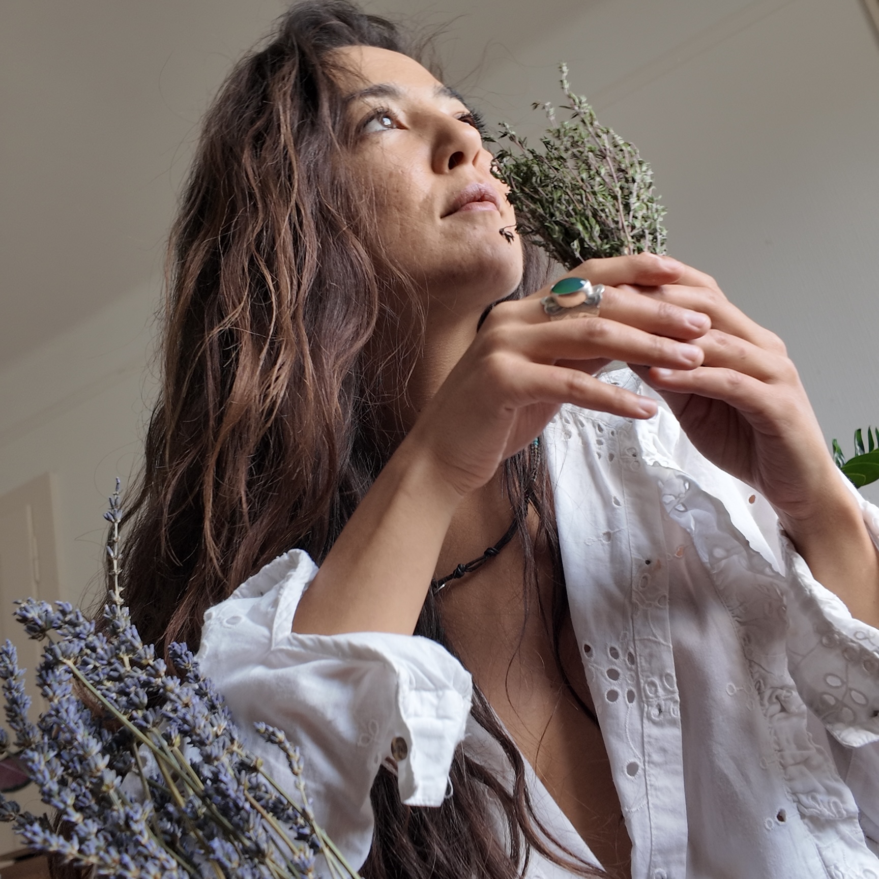 Lina Hamayed